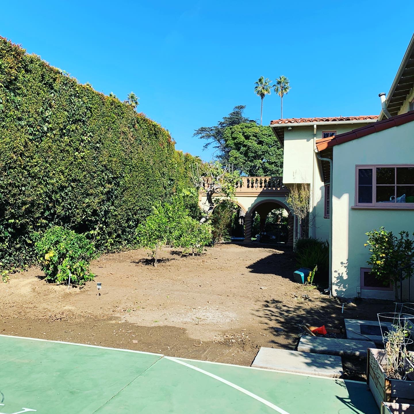 Luxury landscape transformation before